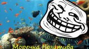 Слушать радио Моречко-Позитива