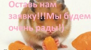 Слушать радио ХомкиFm