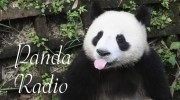 Слушать радио Pandaradio