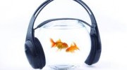 Слушать радио fish47-radio