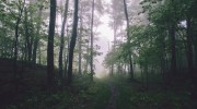 Listen to radio gloriya-louson-radio