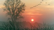 Listen to radio rassvet