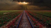 Listen to radio воспоминание