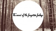 Слушать радио The wood of the forgotten feelings
