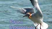Listen to radio Буревестник