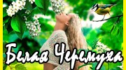 Слушать радио БеЛаЯ ЧеРеМуХа