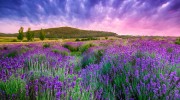 Слушать радио Прованс
