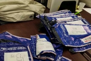 Семья из США нашла на дороге сумку с миллионом долларов.