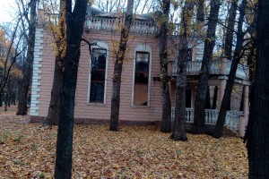 Константин Челлини - произведение "Северный ветер доносит послание"