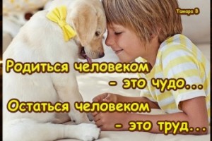 Оставайтесь всегда людьми Идущий По Лезвию