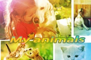 Конкурс "My Animals"