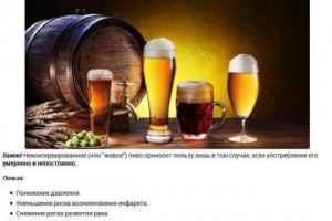 111 фактов о пиве