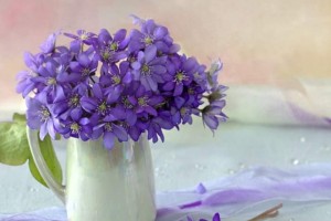 Никакая беда не отменит весну... Ирина Самарина-Лабиринт