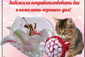 Добрый день !! 