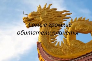 Самые громкие обитатели планеты.