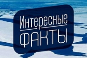 Интересные факты