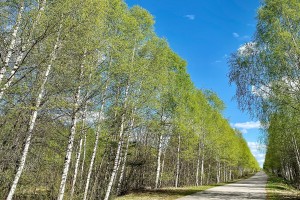 КАК НАЧАТЬ СВОЙ ДЕНЬ