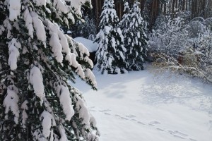 С Праздником Светлой Пасхи!