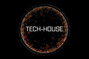 Что за зверь — TECH HOUSE? 
