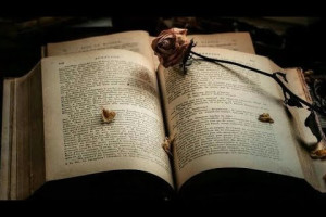 «Колдуют розы лунным светом...»