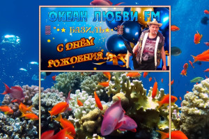 С днем рождения Василий!