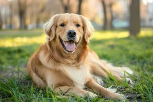 Сильные и  жизненные  строки