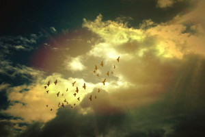 Плачь и танцуй: Почему музыка вызывает у нас эмоции