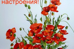 Какое влияние на жизнь человека оказывает радио, телевидение и компьютер?