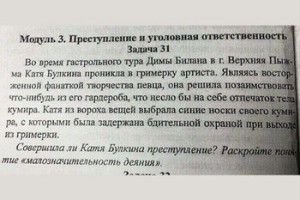 Синие носки Димы Билана попали в юридический учебник