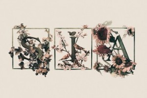 Сиа впервые выпустит на виниле свой альбом 2004 года 