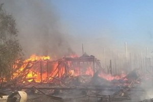 Территория фестиваля «Казантип» пострадала от пожара