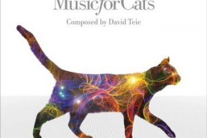 Universal выпустит «кошачью» музыку