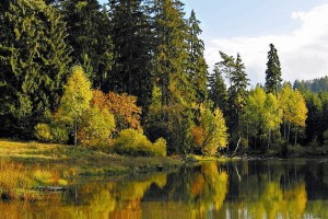                                             Тюмень — ворота в Сибирь