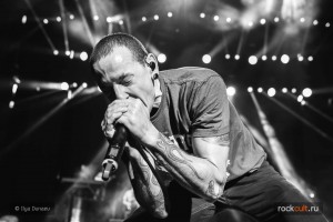 Linkin Park, Fall Out Boy, All Time Low и другие выпускают футболки для NFL