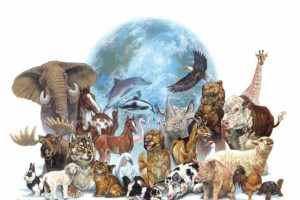 4 октября - Всемирный день животных.