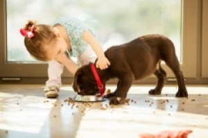 Всемирный день домашних животных (World Day Pets). Радио Океан Плюс.