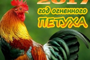 2017 год. Кто такой Огненный Петух?
