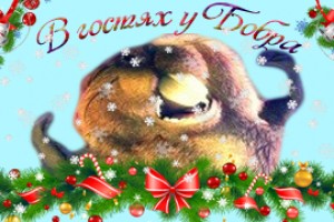 С НОВЫМ 2017 ГОДОМ!!!