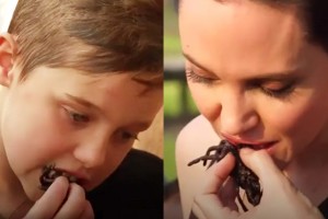 Анджелина Джоли накормила детей скорпионами и тарантулами