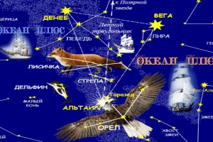 Кто мы такие - Океан Плюс