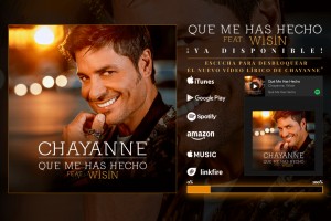 Сайт-визитка сингла Chayanne feat. Wisin - Qué Me Has Hecho