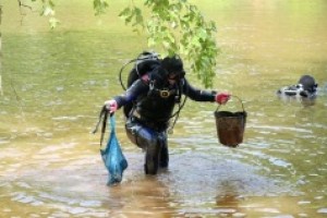 Международный день очистки водоемов