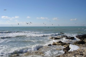 ИНТЕРЕСНЫЕ ФАКТЫ О МОРЕ от Леди Лии