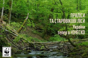 ВЕКОВЫЕ ЛЕСА КАРПАТ И ПОДОЛЬЯ ПРИЗНАНЫ ВСЕМИРНЫМ НАСЛЕДИЕМ ЮНЕСКО