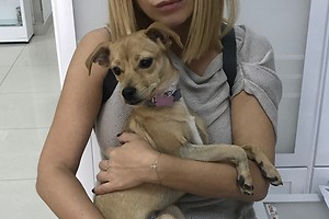 Ольга Орлова объявилась в соцсетях после операции