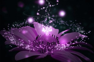                 САМЫЕ УДАЧНЫЕ ДНИ ПО МЕСЯЦАМ РОЖДЕНИЯ (от Пчёлки)