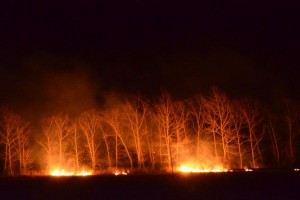По данным синоптиков, на территории Астраханской области и в Астрахани до 1 сентября сохранится чрезвычайная пожарная опасность 5-го класса.