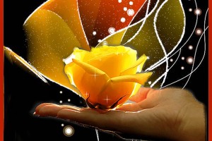                  «Почему мы должны беречь друг друга?(от Пчёлки)