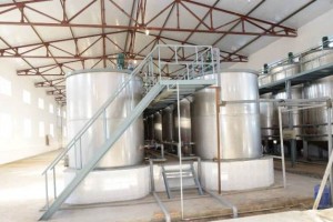 В ноябре 2017 года в Красноярском районе Астраханской области японская компания введёт в эксплуатацию завод по производству глицирризиновой кислоты из корня солодки. 