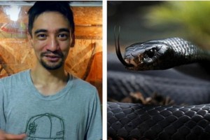 Видеоблогер погиб в прямом эфире от укуса змеи